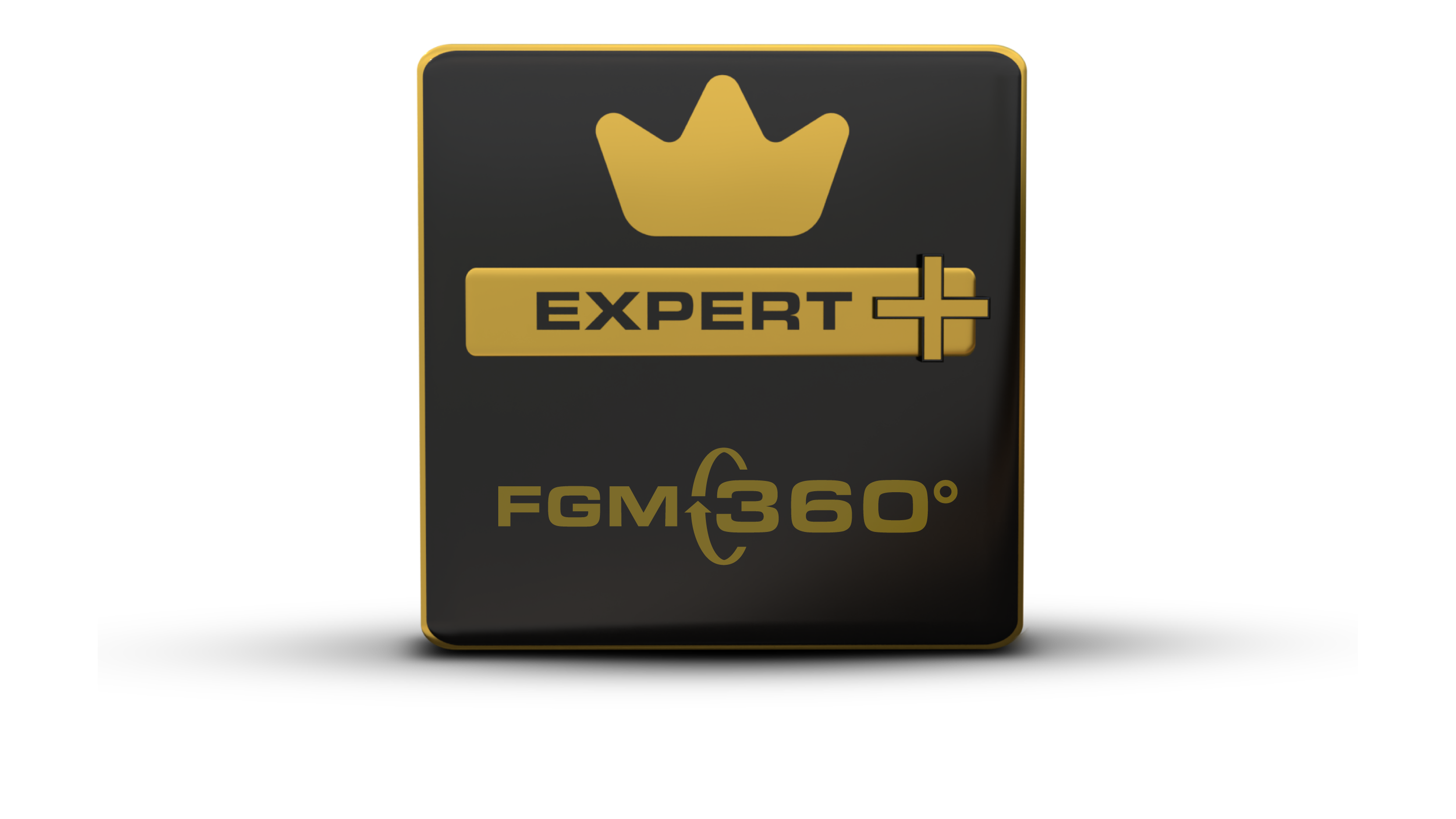 Expert logo selo - FGM 360°