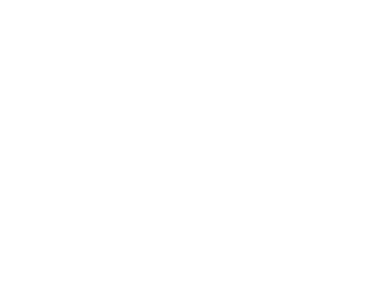 LABGAYZ Novo - Expo Amic Dental 2024