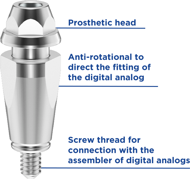 Analogos Digitales EN - Digital Workflow