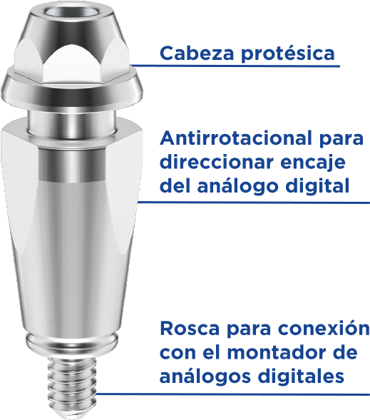 Analogos Digitales ES - Flujo Digital