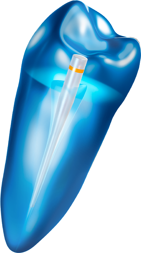 Dente png2 - Linha Endodontia