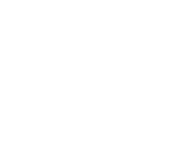 2.5 MI Por ANO ES - Whiteness Connect