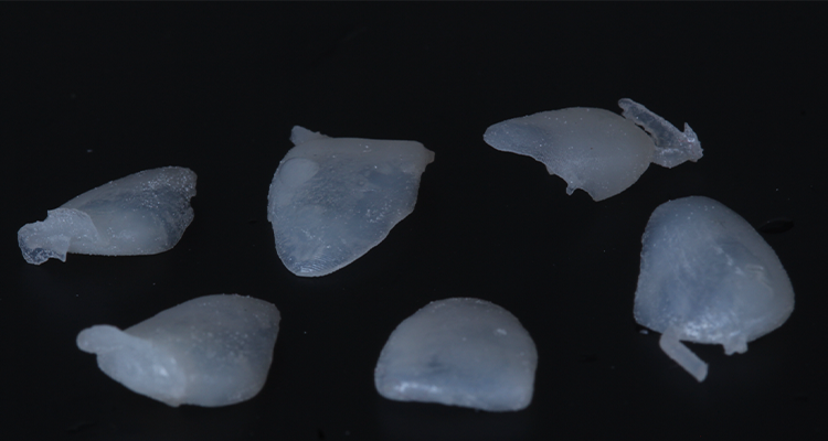 5 | Facetas impressas na resina Voxelprint cor BL - HT.