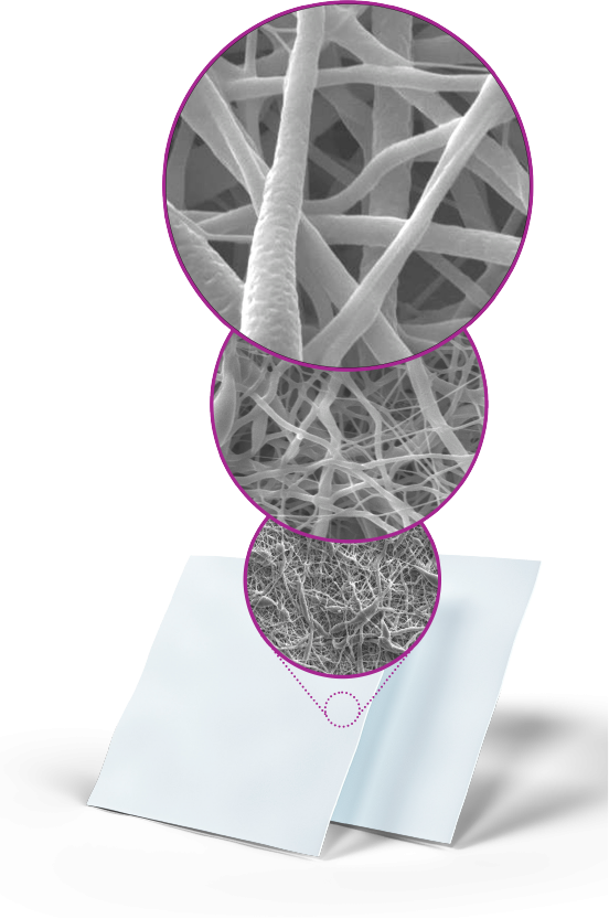 Imagens obtidas por meio de Microscopia Eletrônica de Varredura com magnificação de 150x, 1000x e 2000x.