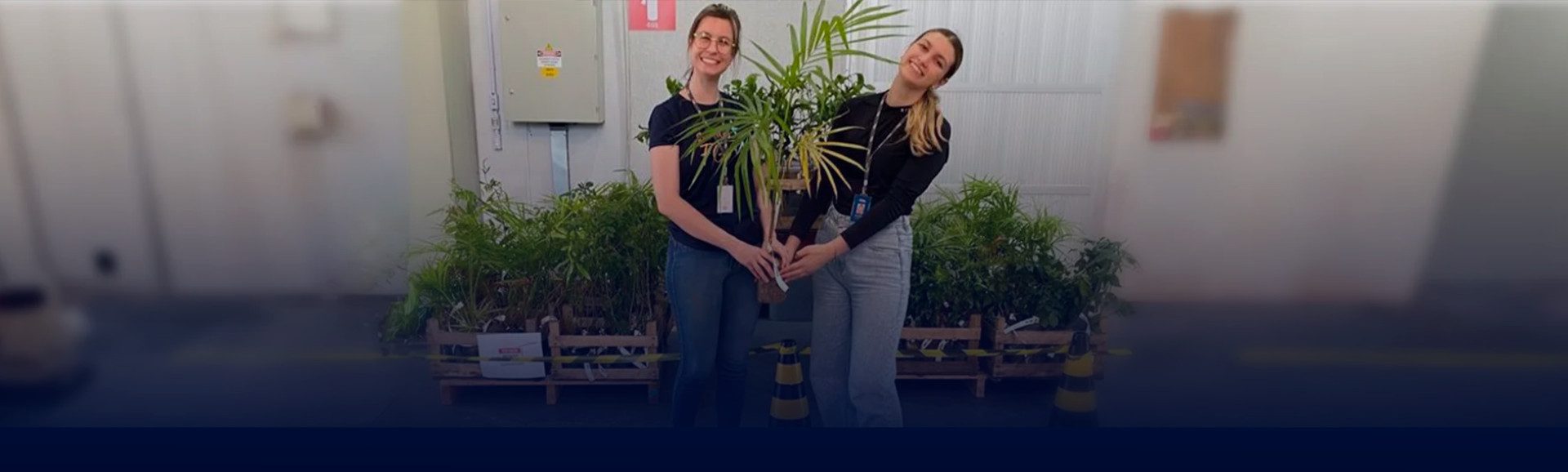 03_Capa-Programa-Adote-Uma-Árvore