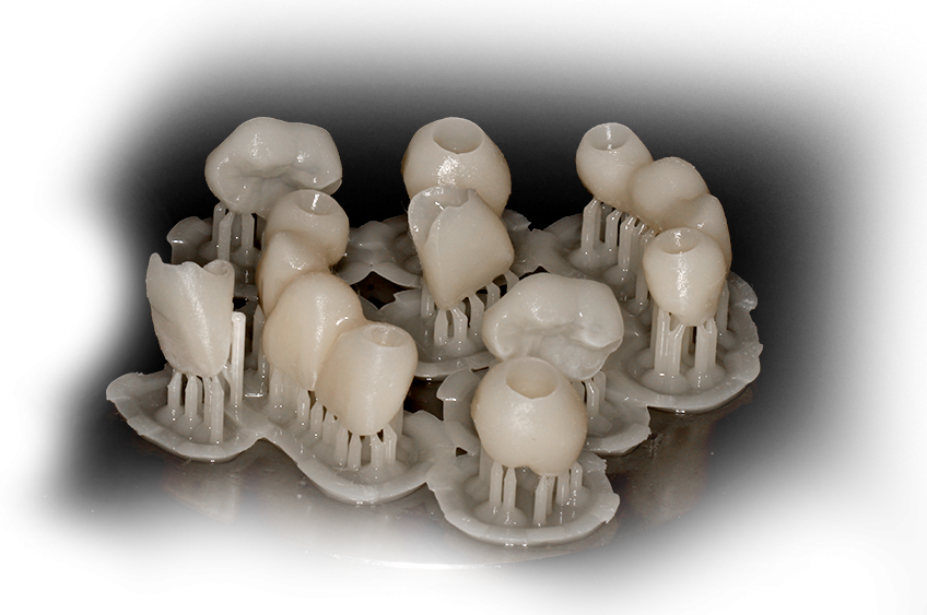 dentes impressos - Voxelprint Temp