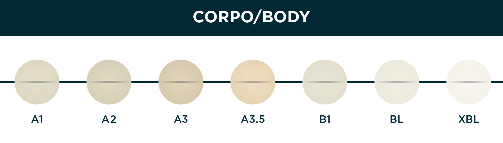 CORES elora body - Elóra APS: o sistema de cores que revoluciona a estética em resina composta Elóra APS-escala de cor body