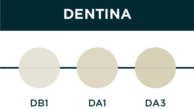 CORES elora dentina - Elóra APS: o sistema de cores que revoluciona a estética em resina composta Elóra APS-escala de cor dentina