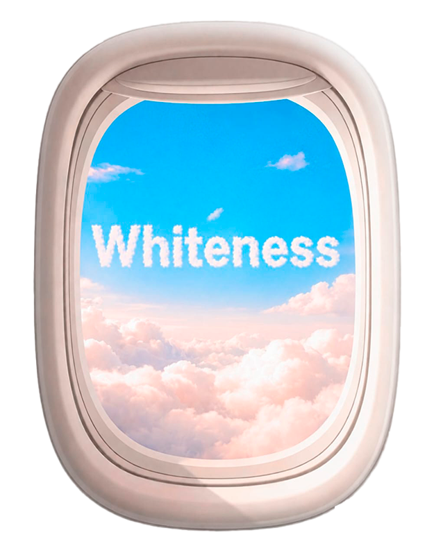 whiteness janela do aviao - FGM y Tú en la IDS 2027