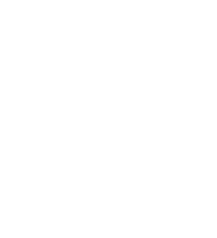 icon in26 biomateriais - FGM no IN26