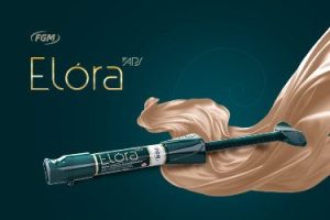Banner-Site-2026-EloraAPS-mob