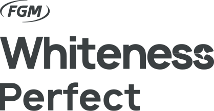 Whiteness Perfect Logo cinza - Mês do Dentista 2026